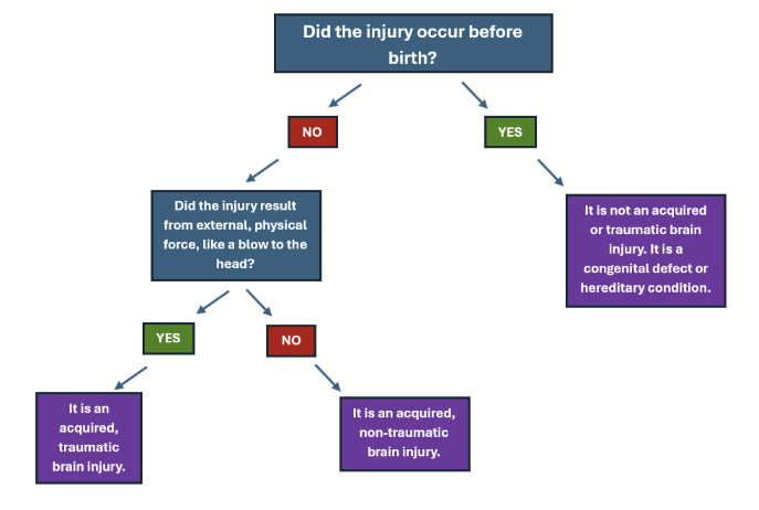 Understanding Acquired Brain Injury Vs. Traumatic Brain Injury